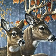 Cross stitch pattern: #2927896