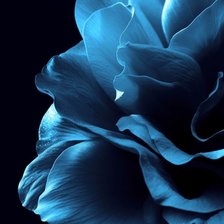 Cross stitch pattern: #2927897