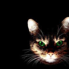 Cross stitch pattern: #2928072