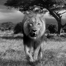 Cross stitch pattern: #2928118