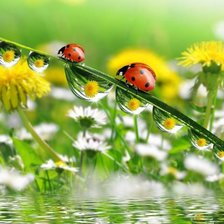 Cross stitch pattern: #2928296