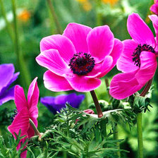 Cross stitch pattern: #2928299