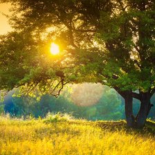 Cross stitch pattern: #2928393