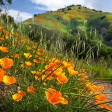 Cross stitch pattern: #2928396