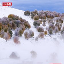 Cross stitch pattern: #2928586