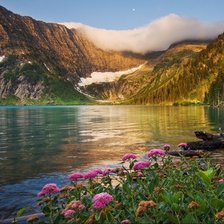 Cross stitch pattern: #2928782