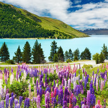 Cross stitch pattern: #2928785