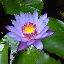 Cross stitch pattern: #2929771