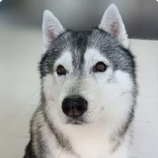 Cross stitch pattern: #2930060