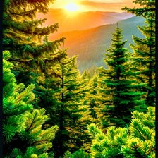 Cross stitch pattern: #2930858