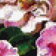 Preview of cross stitch pattern: #2931030