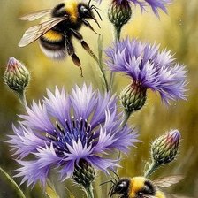 Cross stitch pattern: #2931611