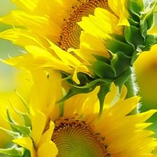 Cross stitch pattern: #2931862