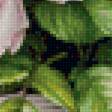 Preview of cross stitch pattern: #2931967