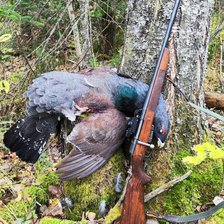 Cross stitch pattern: #2932881