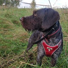 Cross stitch pattern: #2932884