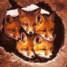 Cross stitch pattern: #2932929