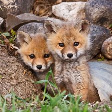 Cross stitch pattern: #2932967