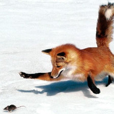 Cross stitch pattern: #2932968