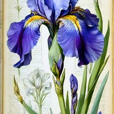 Cross stitch pattern: #2933113