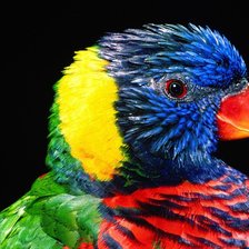 Cross stitch pattern: #2934053