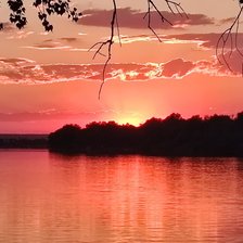 Cross stitch pattern: #2935079