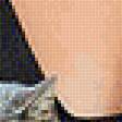 Preview of cross stitch pattern: #2935488