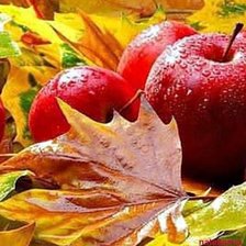 Cross stitch pattern: #2935815