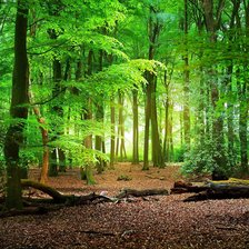 Cross stitch pattern: #2935832