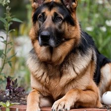 Cross stitch pattern: #2935986