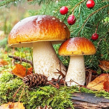 Cross stitch pattern: #2936462