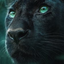 Cross stitch pattern: #2936784