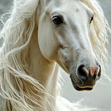 Cross stitch pattern: #2936791