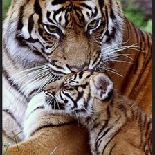 Cross stitch pattern: #2936811