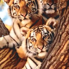 Cross stitch pattern: #2936830