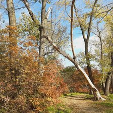 Cross stitch pattern: #2937075