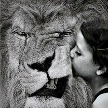 Cross stitch pattern: #2937486