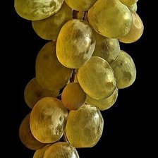 Cross stitch pattern: #2937723