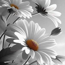 Cross stitch pattern: #2937725