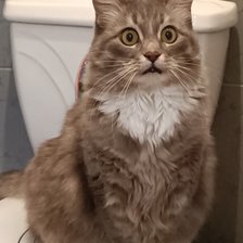 Cross stitch pattern: #2938506