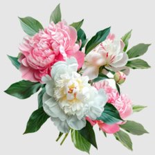 Cross stitch pattern: #2938703