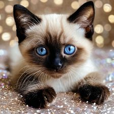 Cross stitch pattern: #2938805