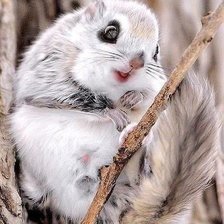 Cross stitch pattern: #2938872