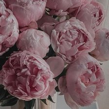 Cross stitch pattern: #2938874