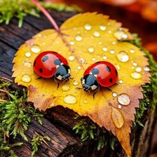 Cross stitch pattern: #2938955