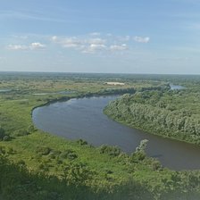 Cross stitch pattern: #2939503