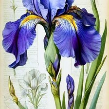 Cross stitch pattern: #2939742