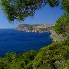 Cross stitch pattern: #2939844