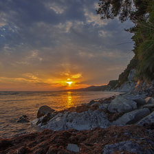 Cross stitch pattern: #2939846