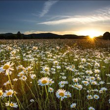 Cross stitch pattern: #2939849